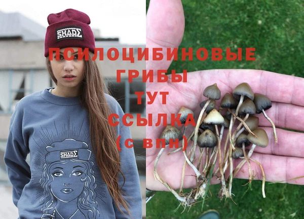 герыч Алексеевка
