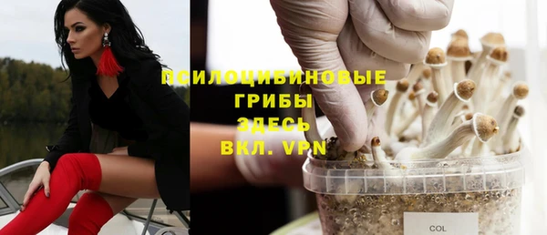 прущий лед Алексин