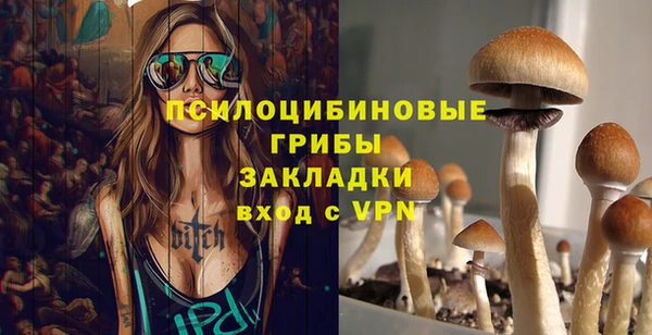 амф Абинск