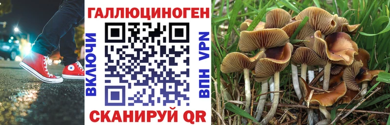 MEGA сайт  закладки  Рязань  Галлюциногенные грибы Cubensis 