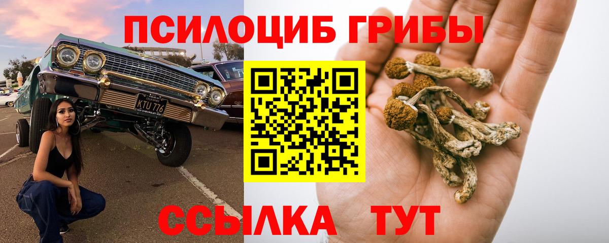 Галлюциногенные грибы GOLDEN TEACHER  Вход с VPN  Рязань  Галлюциногенные грибы Psilocybine cubensis 